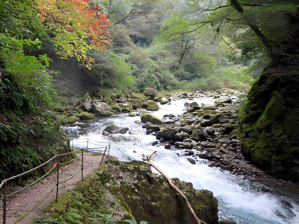 Potret jalur setapak di atas tebing Takachiho Gorge, Jepang (commons.wikimedia.org/David Stanley)