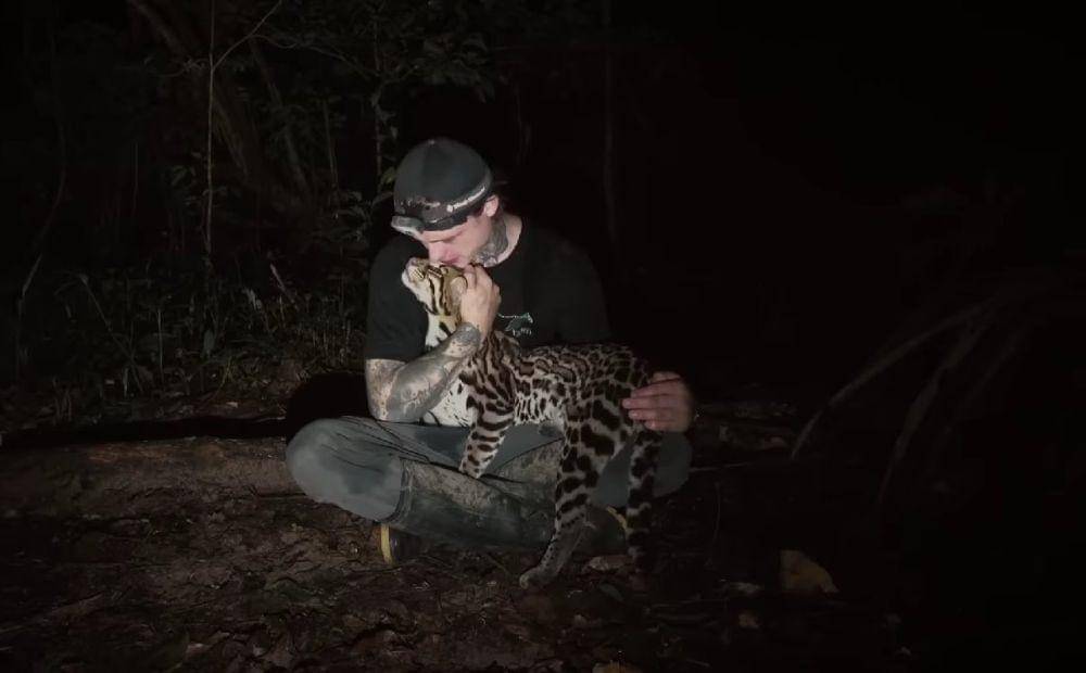 Wildcat (dok. Prime Video/Wildcat)