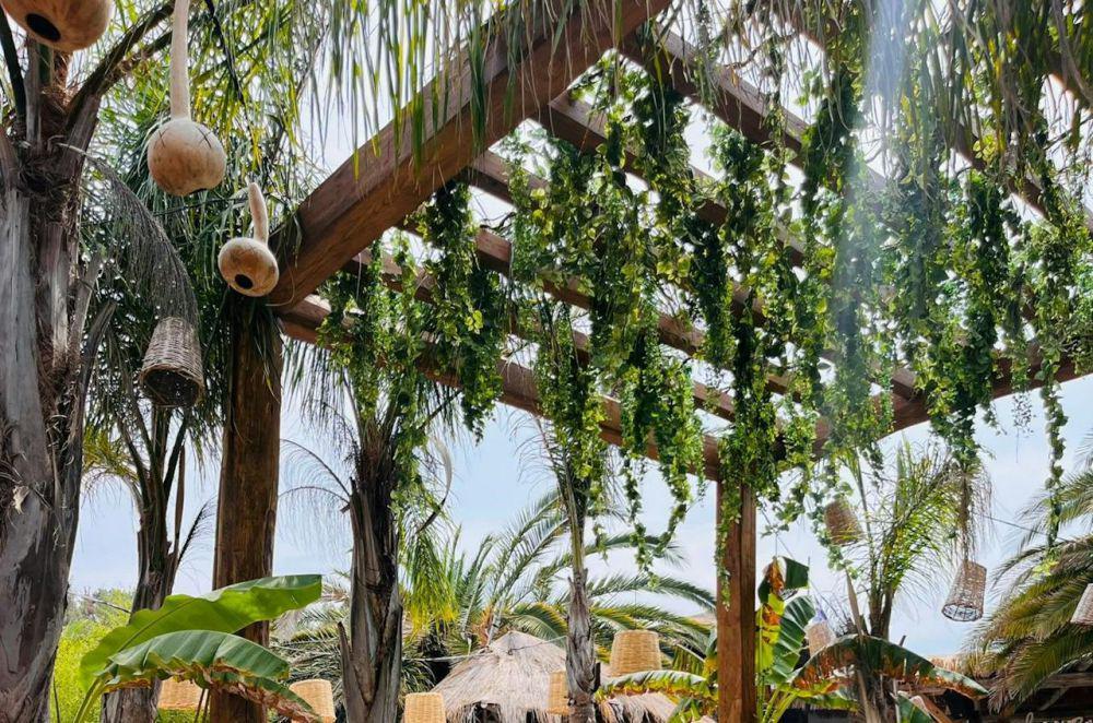 ilustrasi tanaman merambat untuk menghias pergola (pexels.com/Djordje Petrovic)