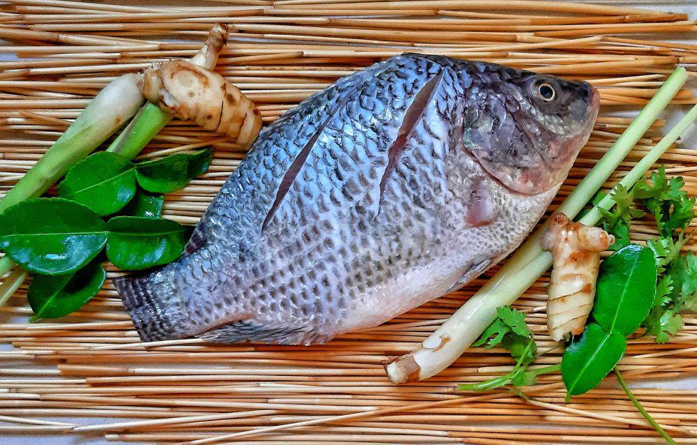 5 Tips Marinasi Ikan Air Tawar agar Gak Bau Tanah, Pakai Bahan Ini!