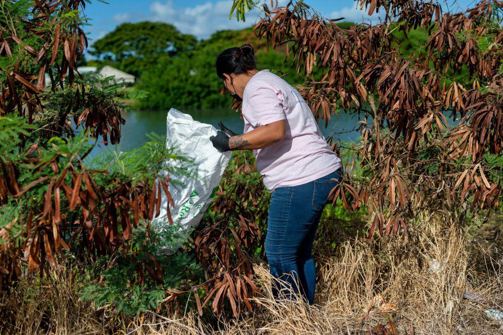 Ilustrasi membersihkan sampah di hutan (pexels.com/Alfo Medeiros)