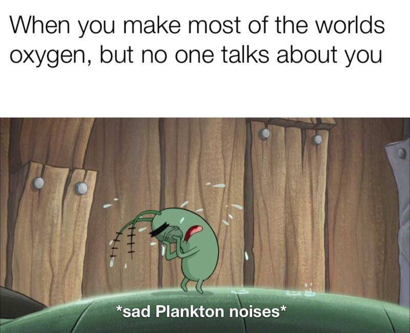 potret meme lucu Plankton (reddit.com/user/charles-de_gaulle)
