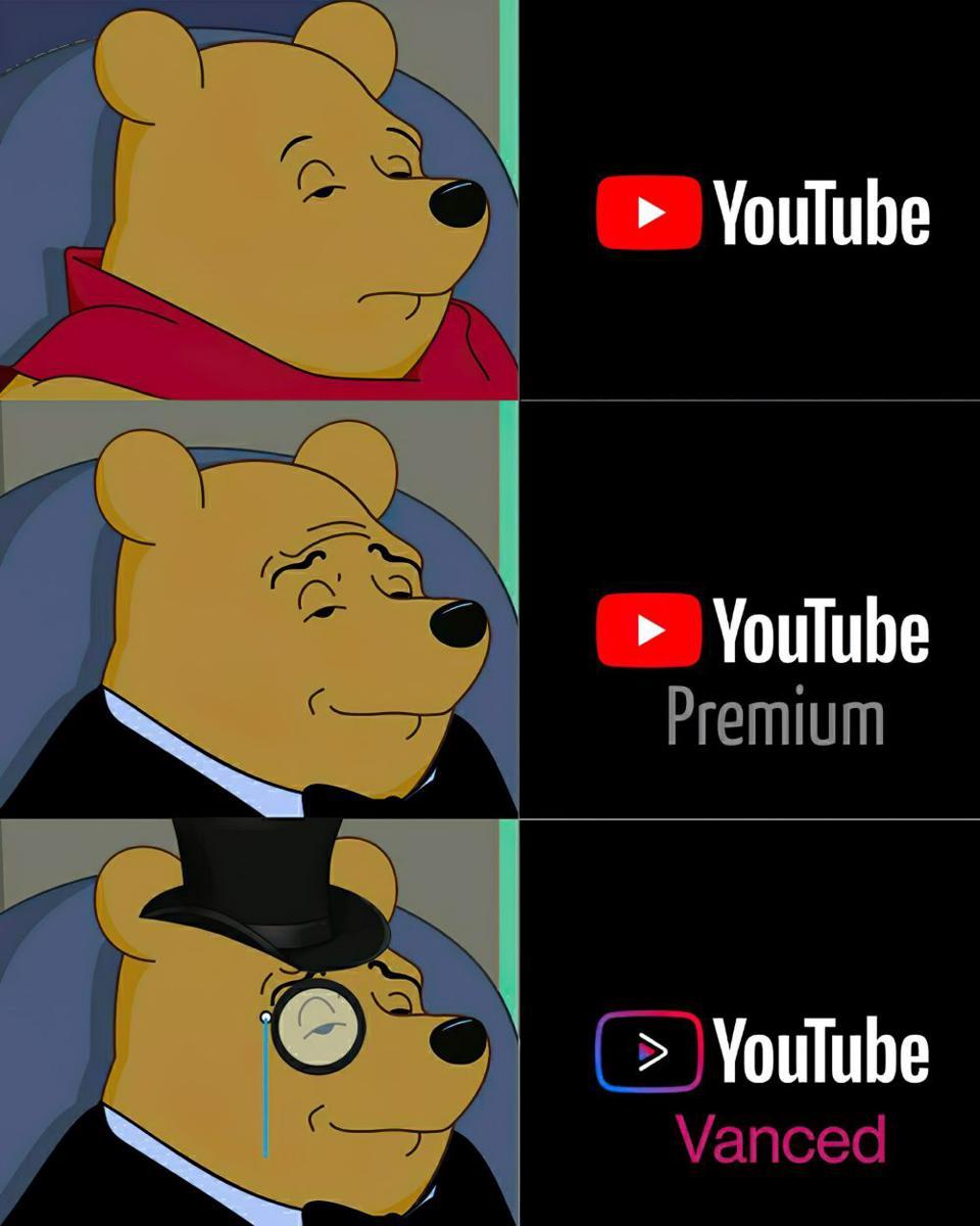 potret meme kocak YouTube Premium (reddit.com/user/HamedAliKhan)