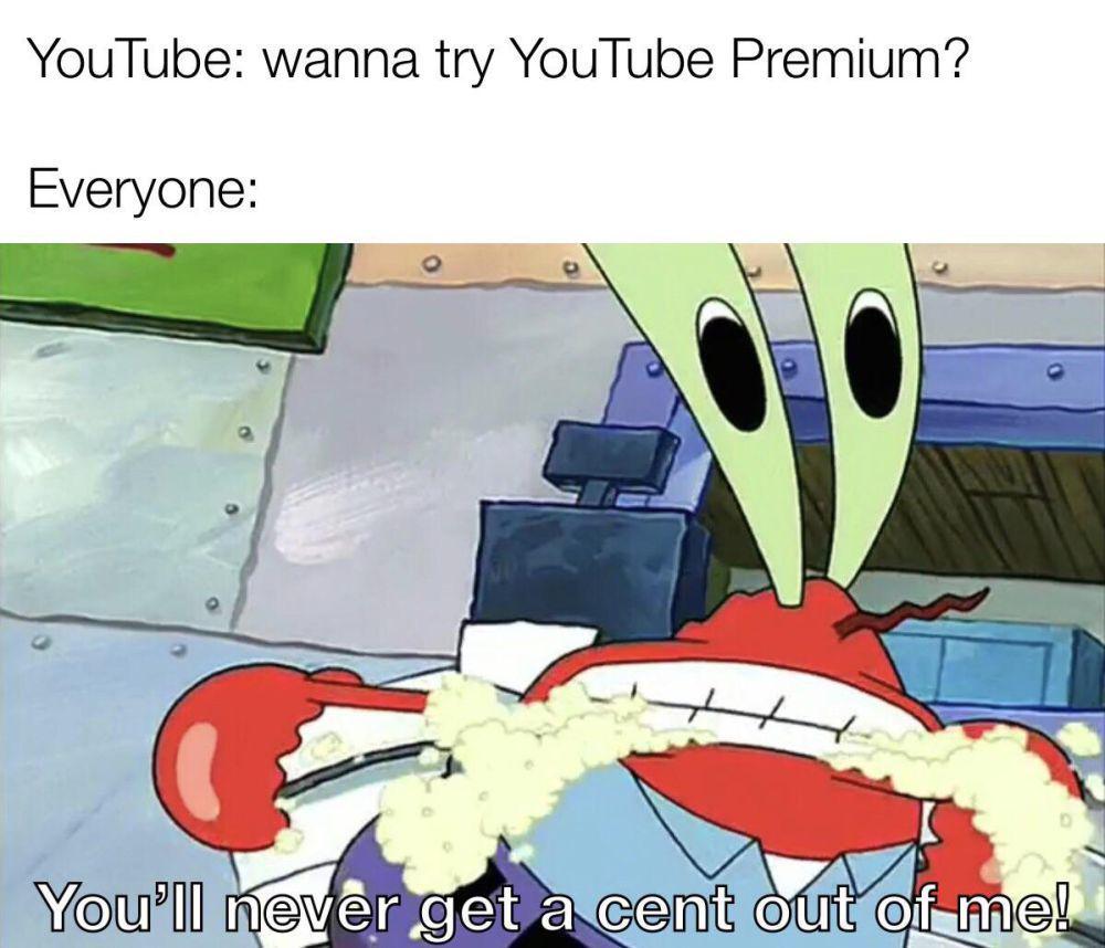 potret meme kocak YouTube Premium (reddit.com/r/memes)