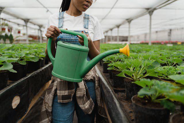 8 Sayuran Bisa Ditanam di Rooftop Garden, Maksimalkan Lahan Terbatas