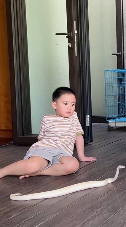 Athar main ular (instagram.com/citraciki)