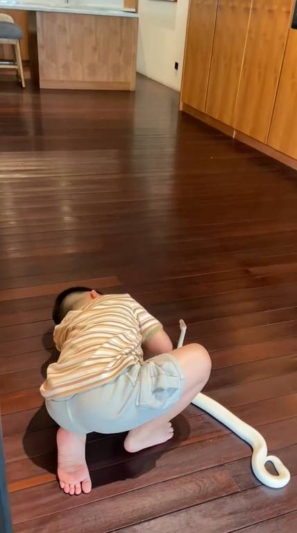 Athar main ular (instagram.com/citraciki)