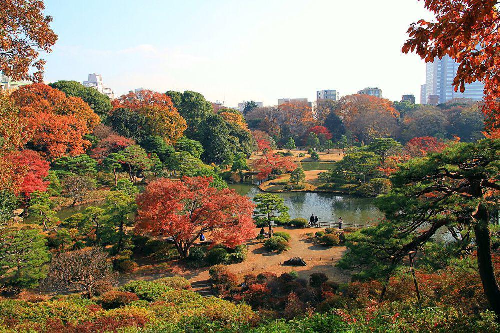 Rikugien Garden (commons.wikimedia.org/京浜にけ)
