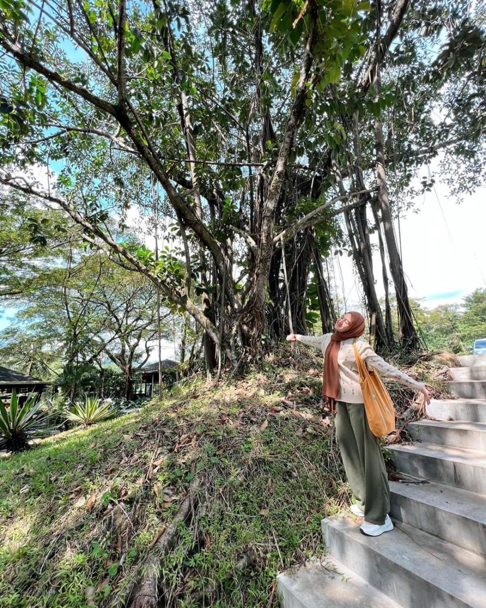 Potret Cut Syifa (instagram.com/cutsyifaa)