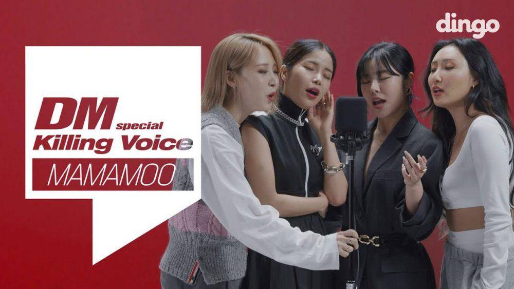MAMAMOO (youtube.com/@DingoMusic)