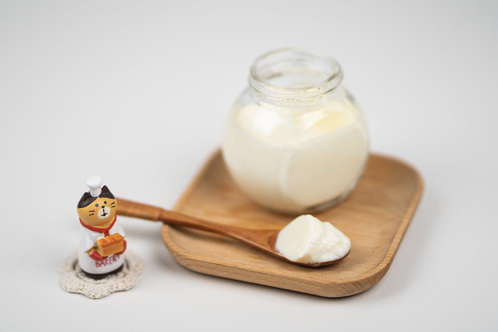 ilustrasi yogurt (pexels.com/CatsComing)