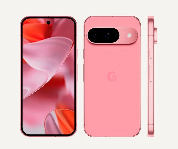 Google Pixel 9 (store.google.com)