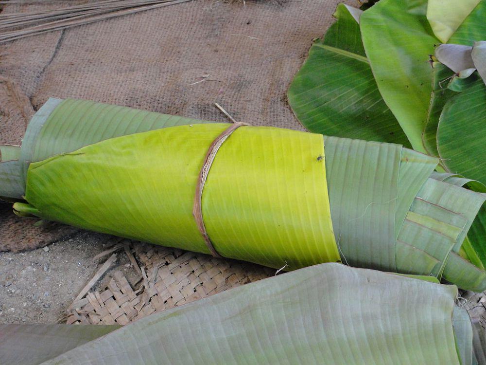 ilustrasi daun pisang (commons.wikimedia.org/Thamizhpparithi Maari)