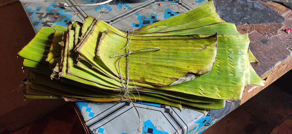 ilustrasi daun pisang (commons.wikimedia.org/Andri Kesenja 01)