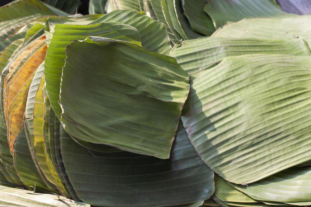 ilustrasi daun pisang (vecteezy.com/tuktababy)