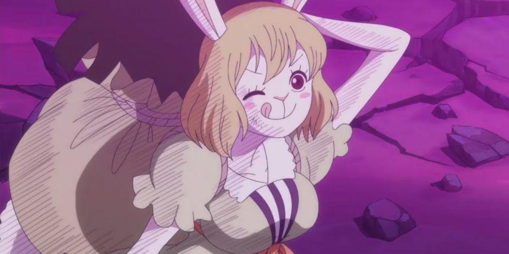 Carrot karakter One Piece (dok. Eiichiro Oda, Toei Animation/One Piece)