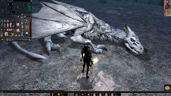 potret game Neverwinter Nights (store.steampowered.com)