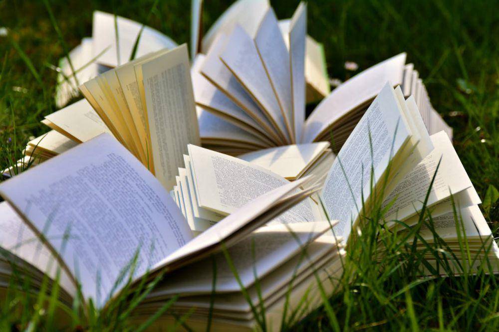 ilustrasi banyak buku (pexels.com/Pixabay)