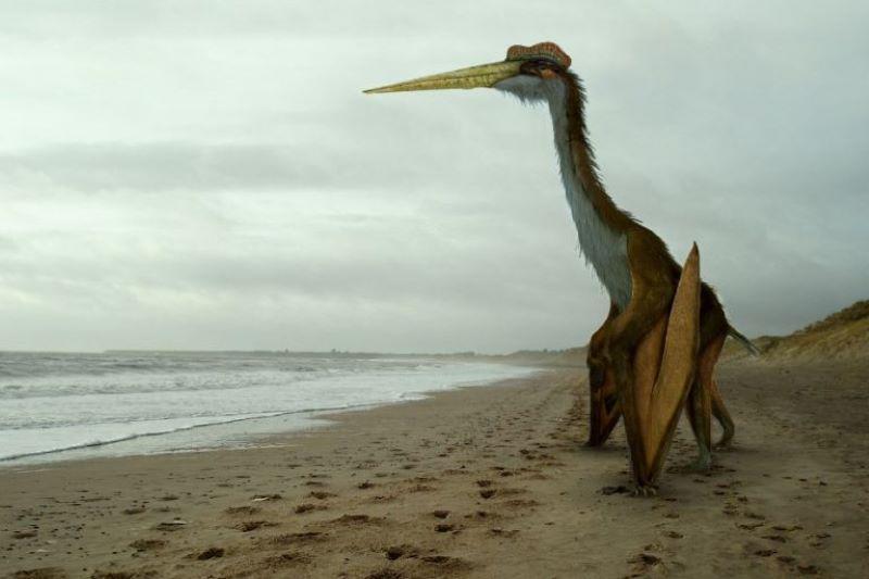 3 Fakta Pterosaurus, Reptil Terbang yang Sering Dianggap Dinosaurus