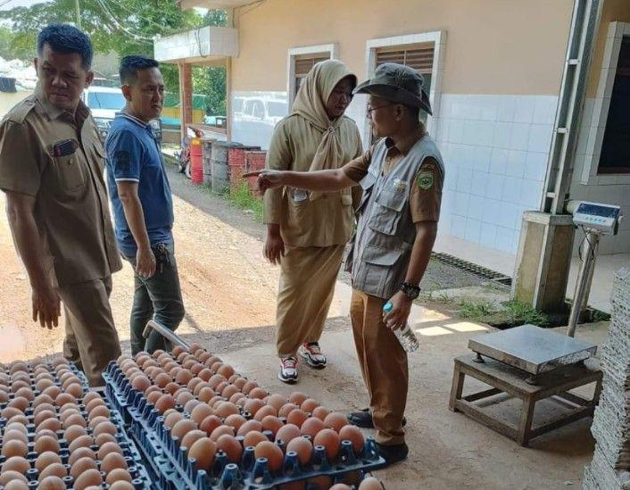 Telur Ayam Banyuasin Berpeluang Tembus Pasar Singapura