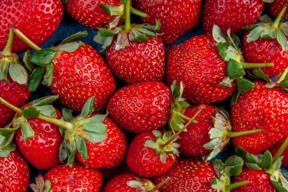 ilustrasi batang strawberry (freepik.com/KamranAydinov)