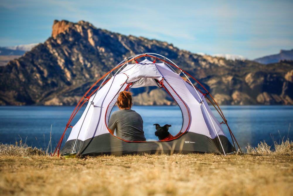 ilustrasi camping (unsplash.com/Patrick Hendry)