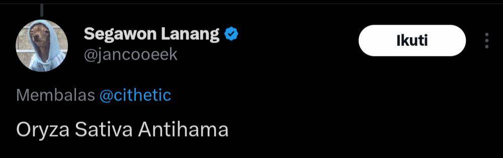 nama unik warganet (x.com/jancooeek)