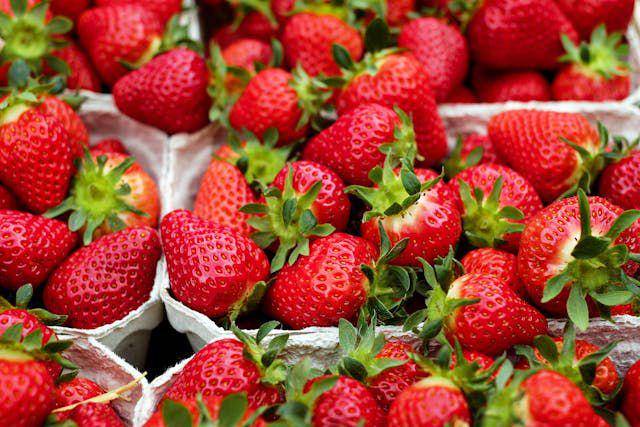 ilustrasi strawberry merah (pexels.com/ilo frey)