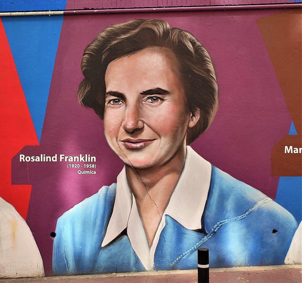Rosalind Elise Franklin (commons.wikimedia.org/Joandrés)