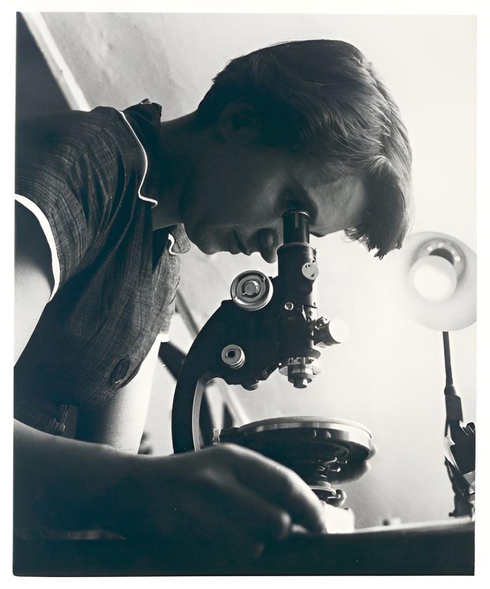 Rosalind Elise Franklin (commons.wikimedia.org/MRC Laboratory of Molecular Biology)