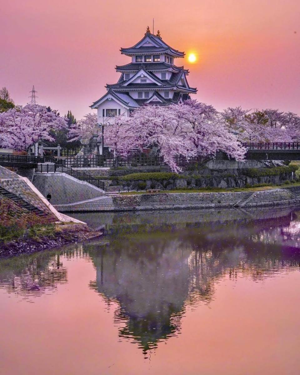 Kastil Sunomata diantara sakura mekar (instagram.com/visitjapan_uk)