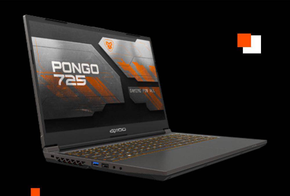 potret Axioo Pongo 725 (axiooworld.com)