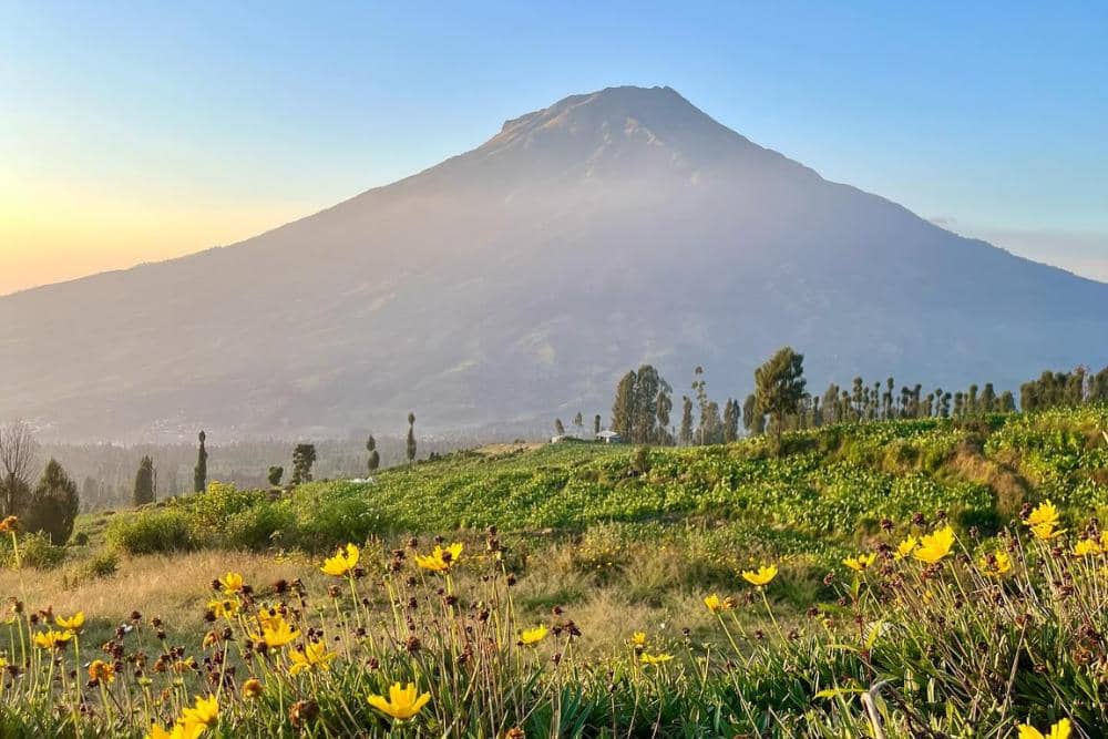 instagram.com/tamanwisata_posong