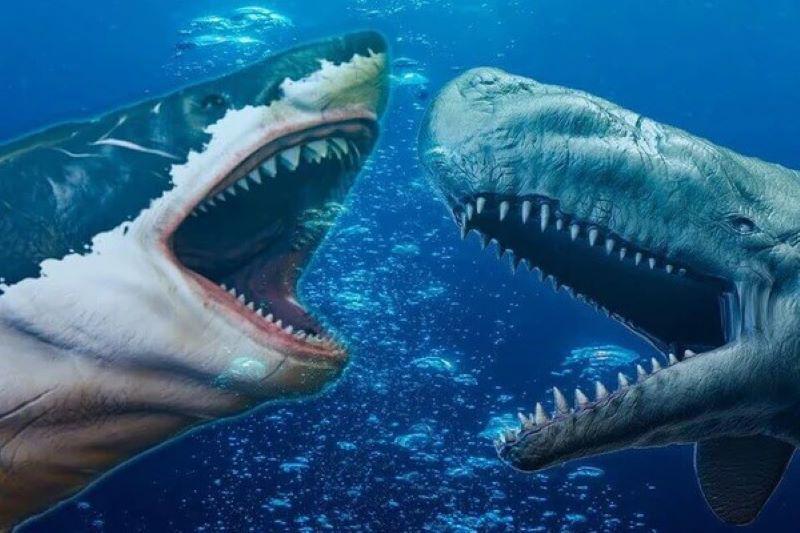 6 Fakta Mengerikan Hewan Laut Purba yang Pernah Menghuni Bumi