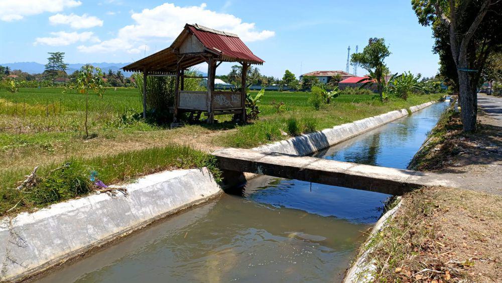 Selokan Van Der Wijck Ditutup, 1.500 Hektare Lahan Terancam Kekeringan