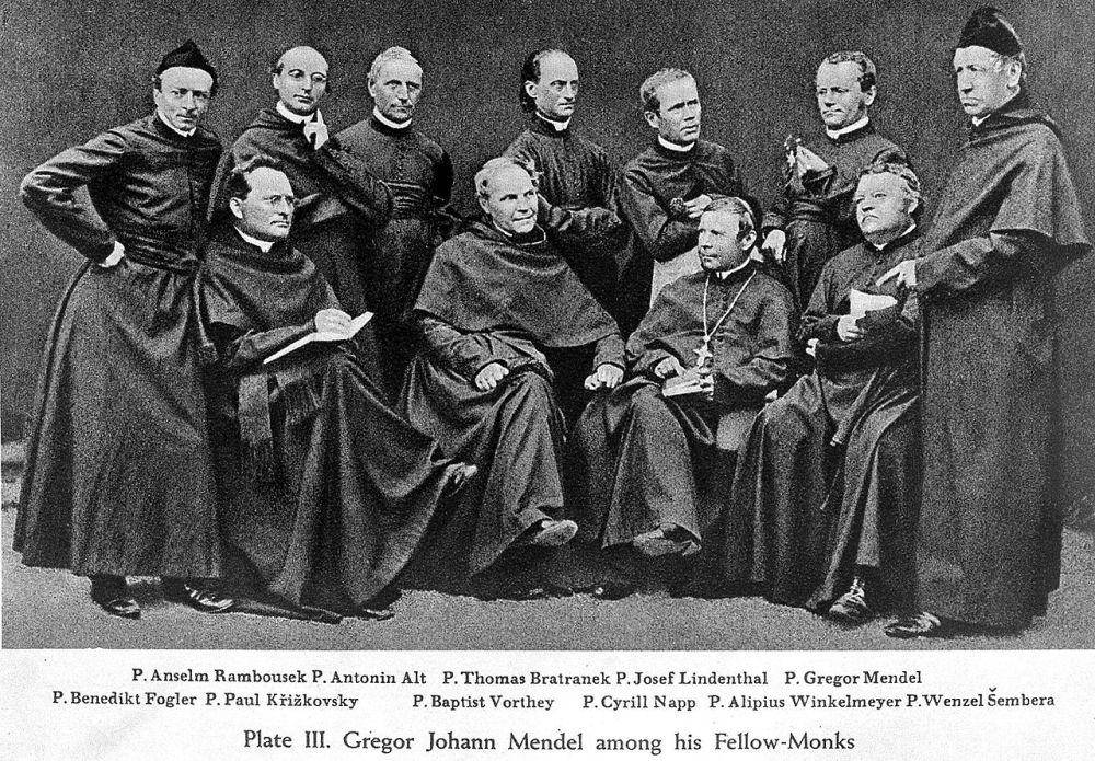 Gregor Mendel (commons.wikimedia.org/Wellcome Images)