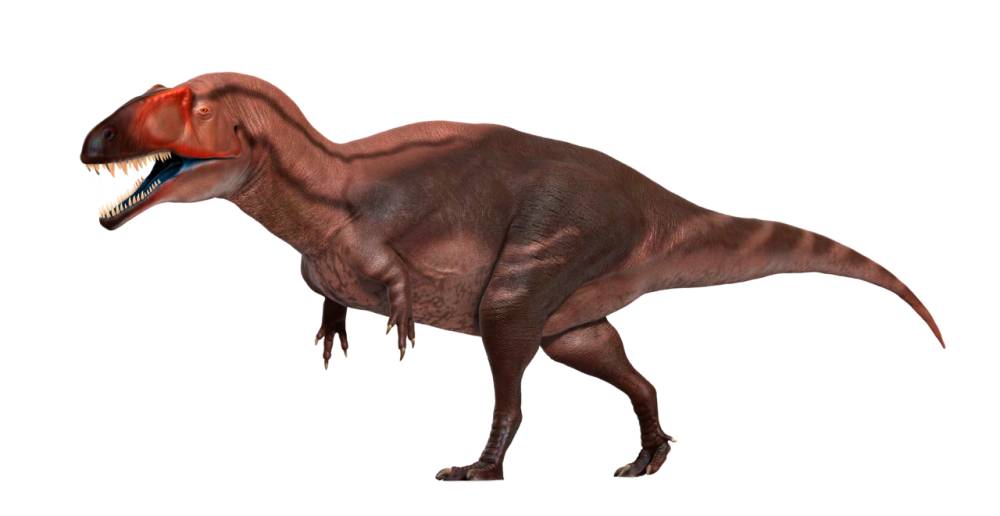 Ilustrasi Acrocanthosaurus  (commons.wikimedia.org/Petr Menshikov)