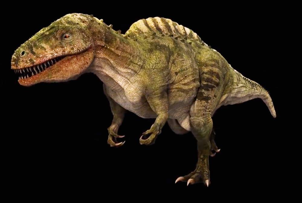 Ilustrasi Acrocanthosaurus  (commons.wikimedia.org/Julian Johnson)