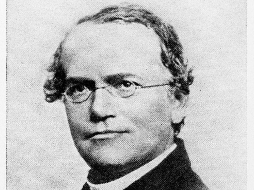 Gregor Mendel (commons.wikimedia.org/Wellcome Images)