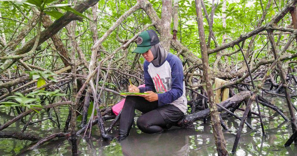 CarbonEthics Kembangkan Proyek Karbon Biru (Dok.CarbonEthics)