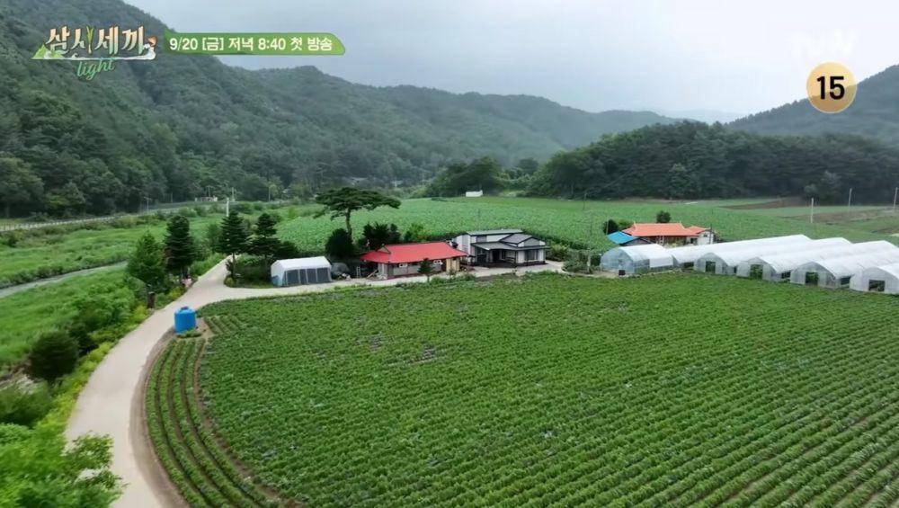 cuplikan Three Meals a Day: Light (dok. tvN/Three Meals a Day: Light)