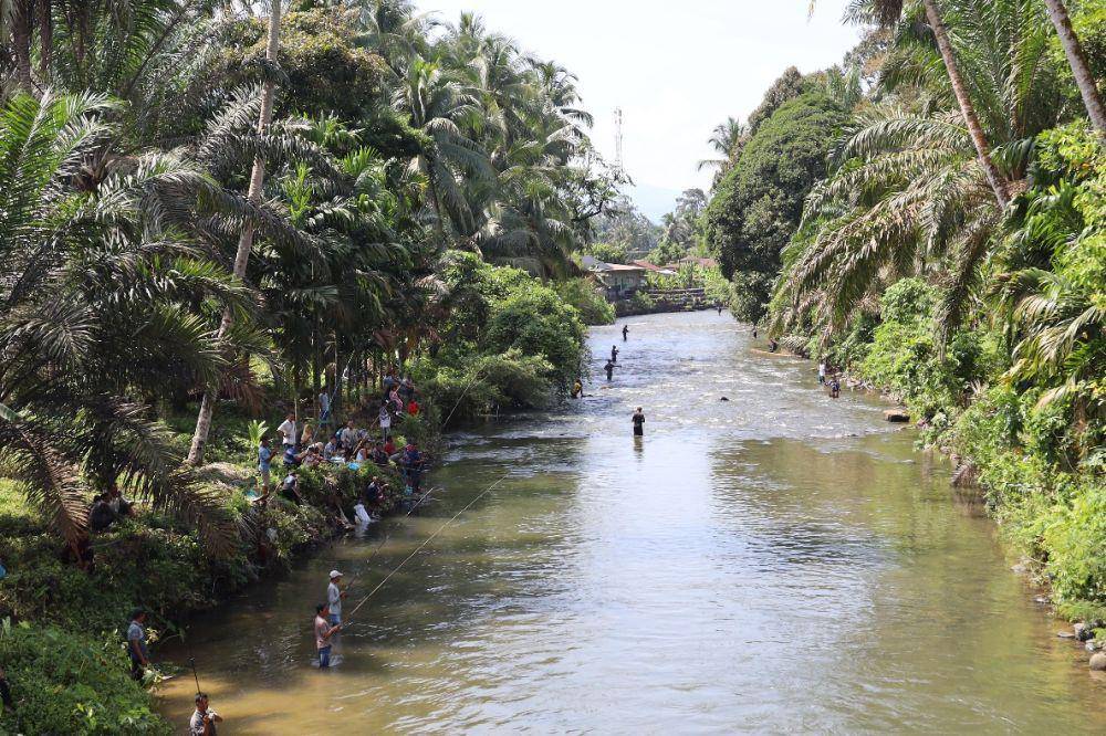 PT Agincourt Resources Tebar Puluhan Ribu Bibit Ikan di Lubuk Larangan Batangtoru, Tapsel (Dok. IDN Times)