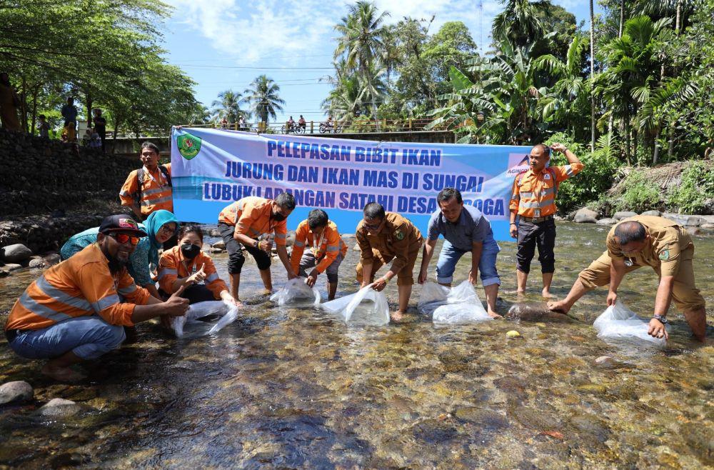 Agincourt Resources Tebar Puluhan Ribu Bibit Ikan di Lubuk Larangan
