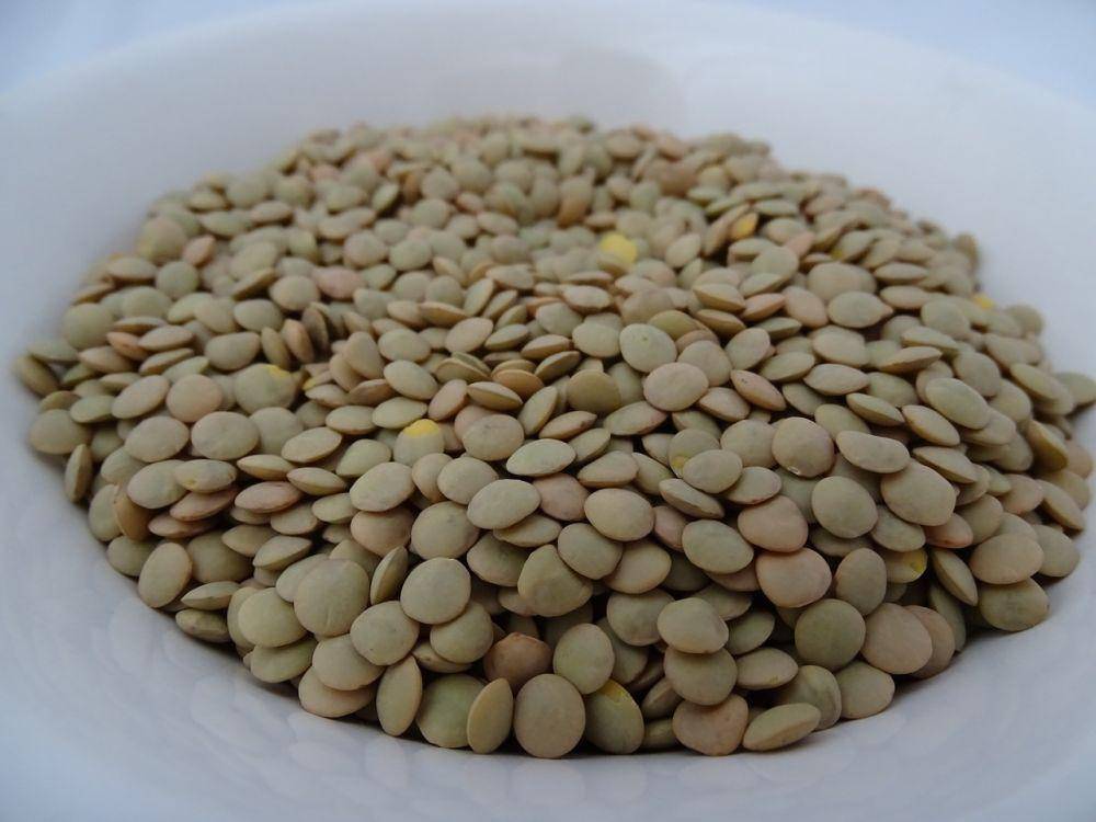 Lentil (pixabay.com/sandravelez2017)