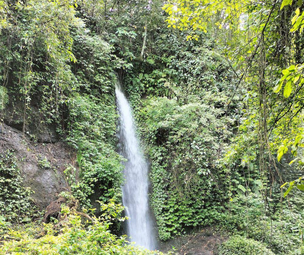 Air Terjun Tujuh Bidadari, Jember, Jawa Timur (google.com/maps/Devin Rosid)