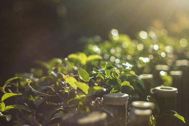 5 Wisata Terbaik di Cangar Malang, Surganya Pencinta Fotografi