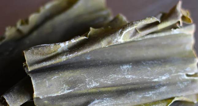 Tangkapan layar kombu (YouTube.com/JapaneseCooking101)