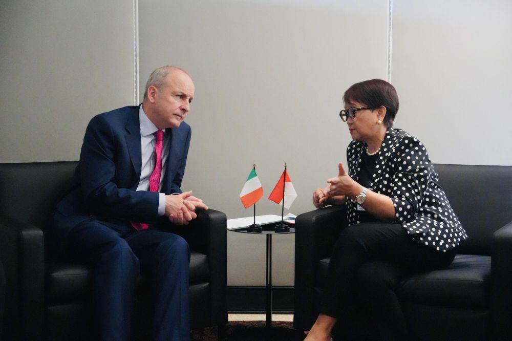 Indonesia-Irlandia Kompak Perjuangkan Hak Rakyat Palestina