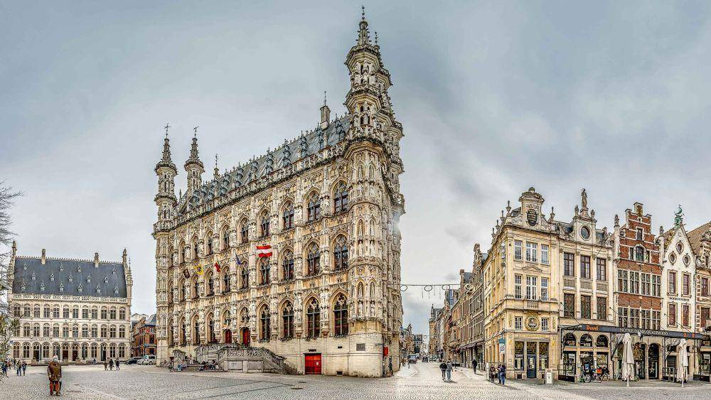 Illustrasi Leuven (pexels.com/frankbarning)