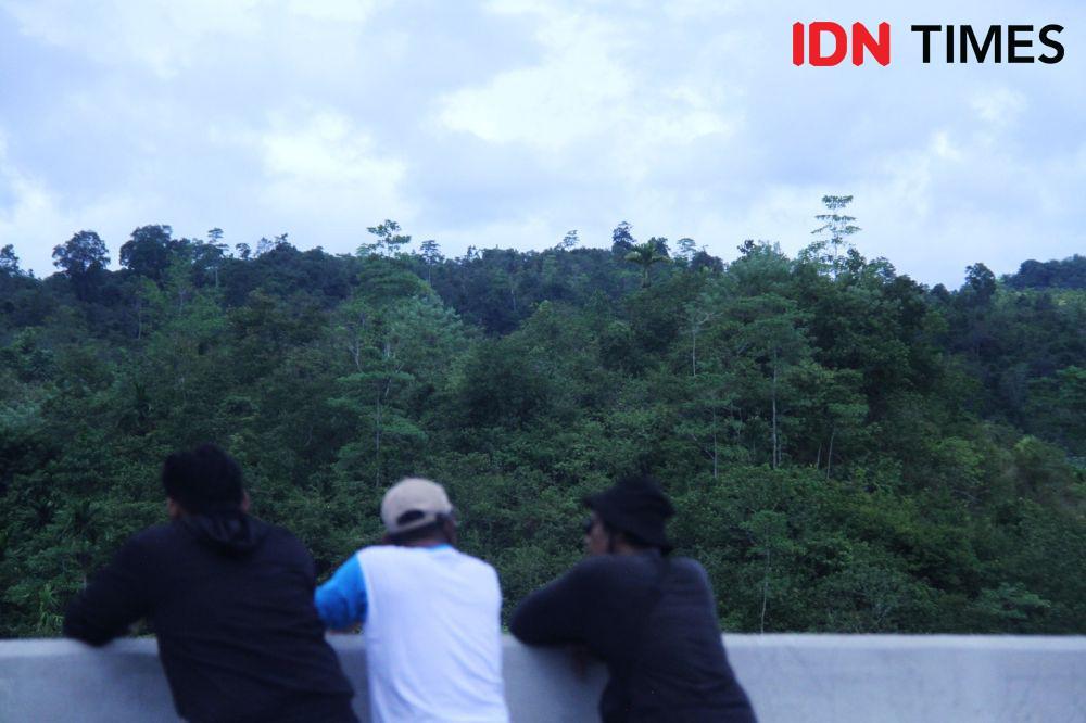 Perjuangan Masyarakat Ambil Kembali Hutan Adat yang Masuk Konsesi HTI